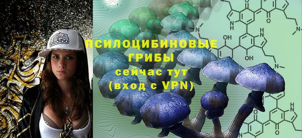 МДПВ Наволоки