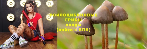 МДПВ Наволоки