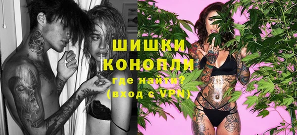 стаф Надым