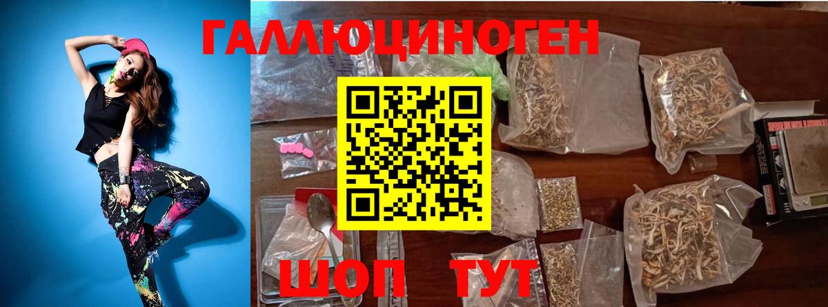 Галлюциногенные грибы GOLDEN TEACHER Надым